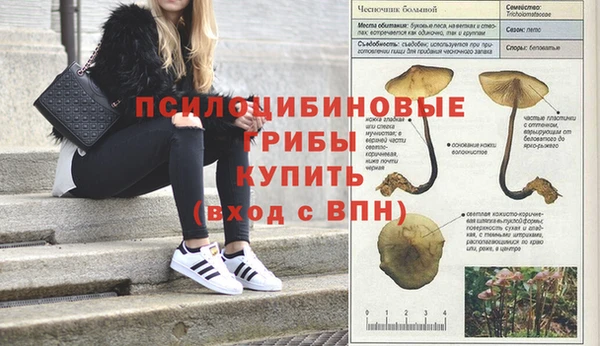 мескалин Алзамай