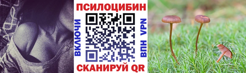 закладка Фролово гидра зеркало Галлюциногенные грибы мицелий